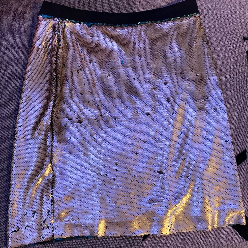 Sequin Skirt